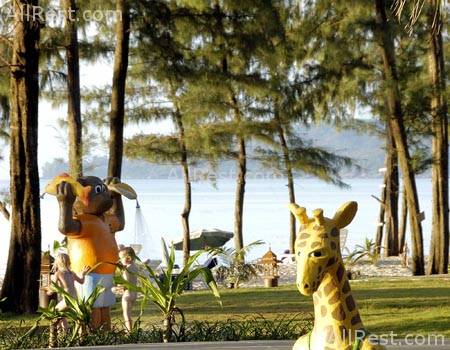 Sunwing Resorts & Spa 53